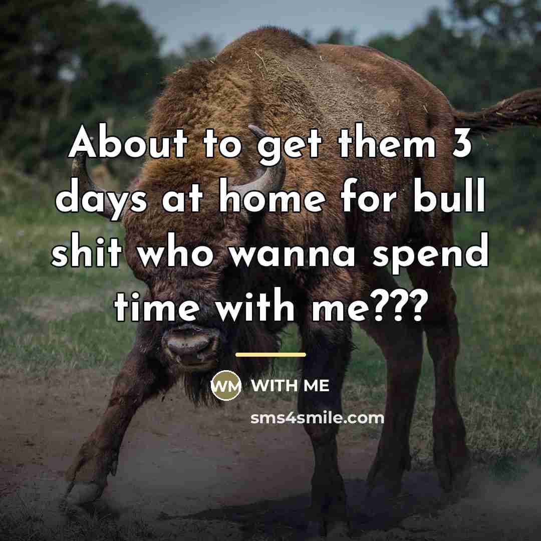 “About to get them 3 days at home for bull…” quote by With me