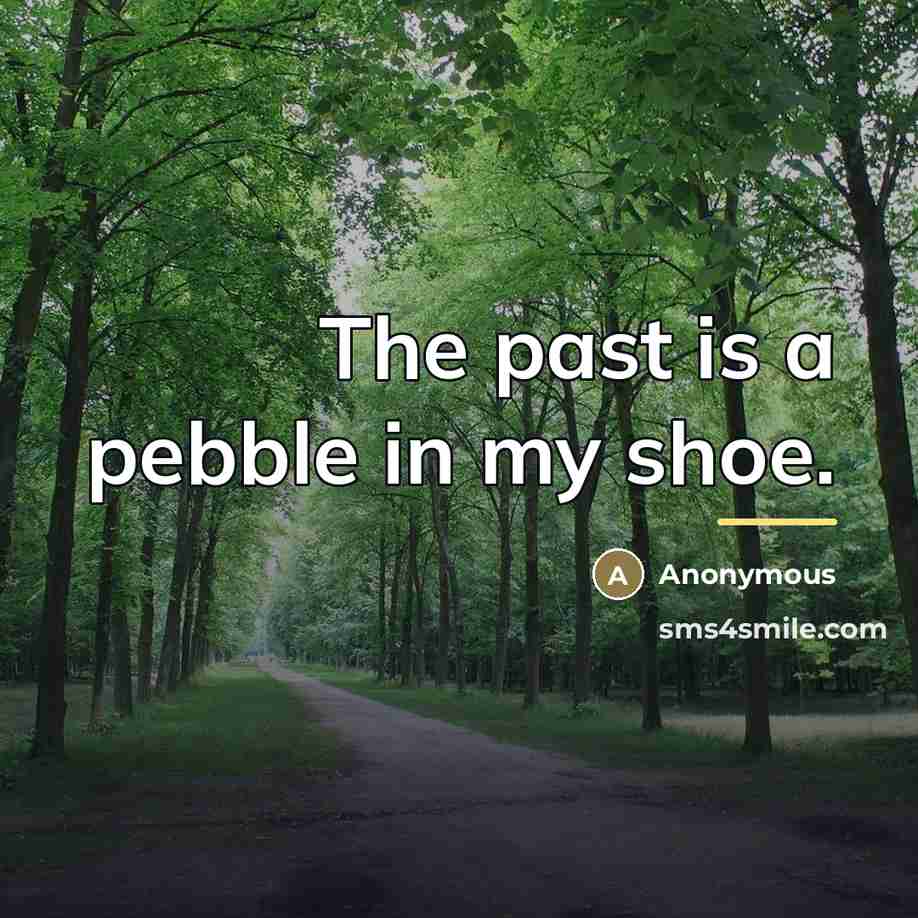 “The past is a pebble in my shoe.…” quote by Anonymous