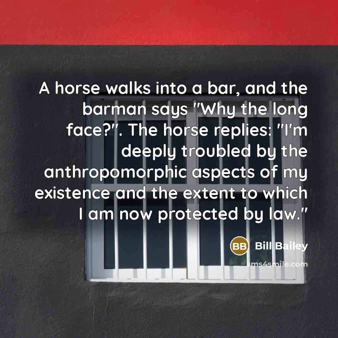 “A horse walks into a bar, and the barman says…” quote by Bill Bailey