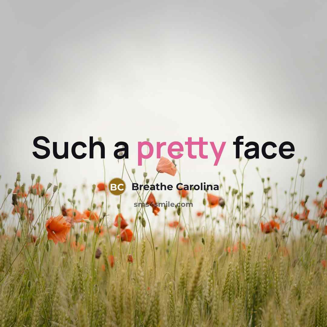 “Such a pretty face” quote by Breathe Carolina