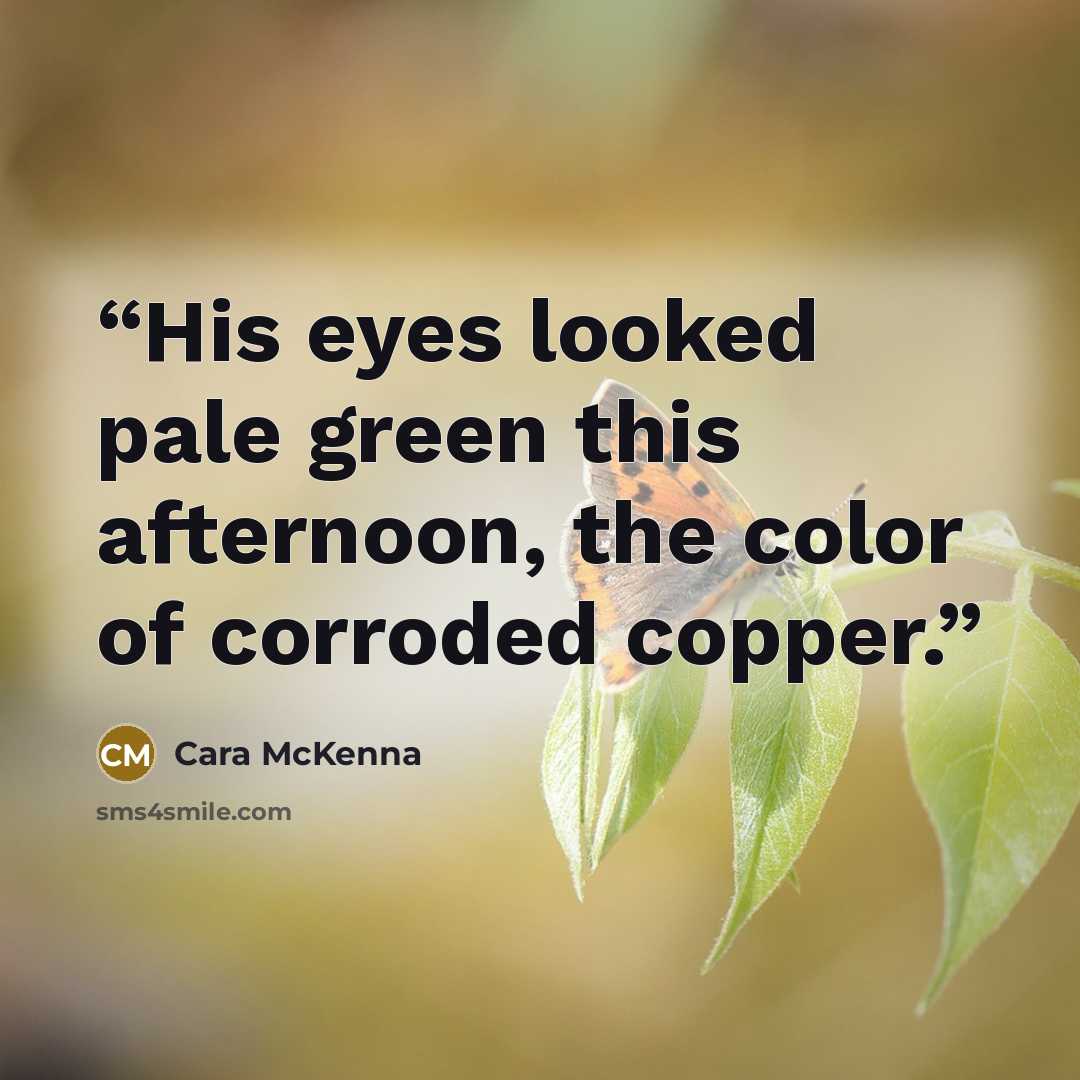 “His eyes looked pale green this afternoon, the color of corroded copper.” quote by Cara McKenna