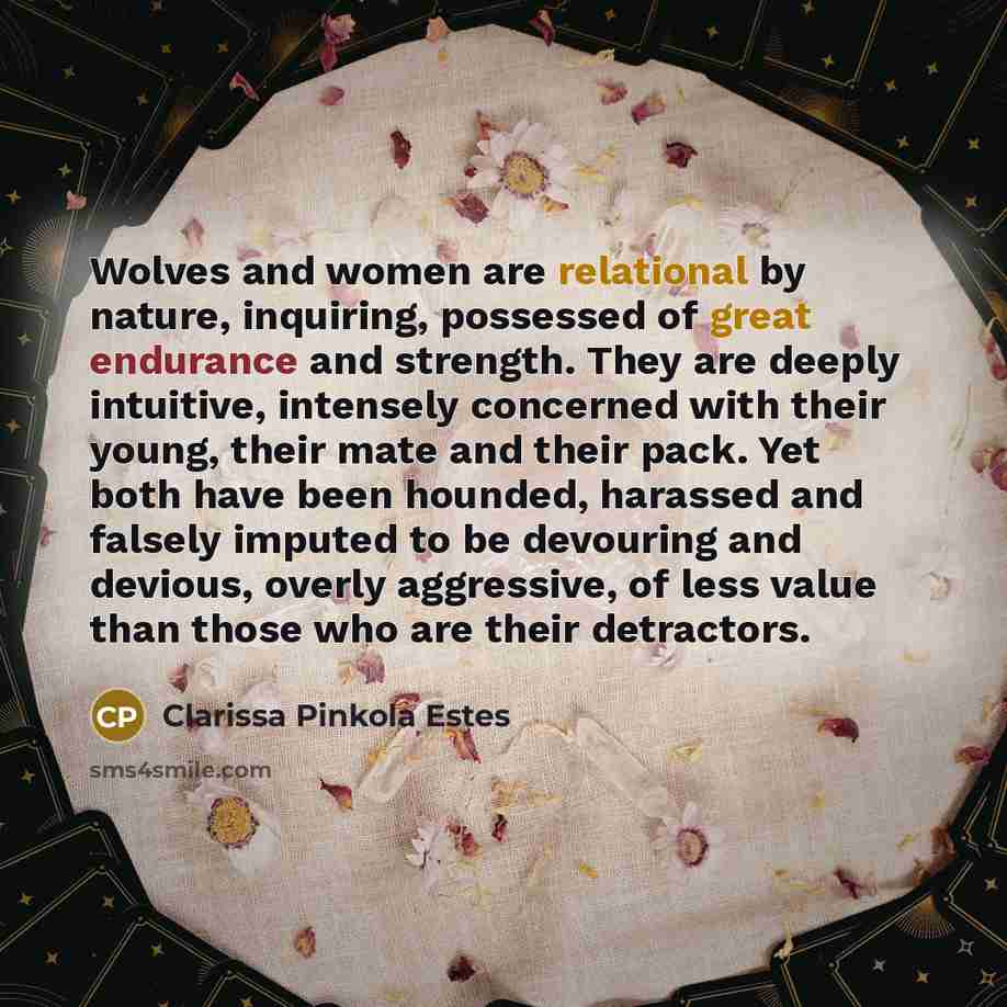 “Wolves and women are relational by nature, inquiring, possessed of…” quote by Clarissa Pinkola Estes