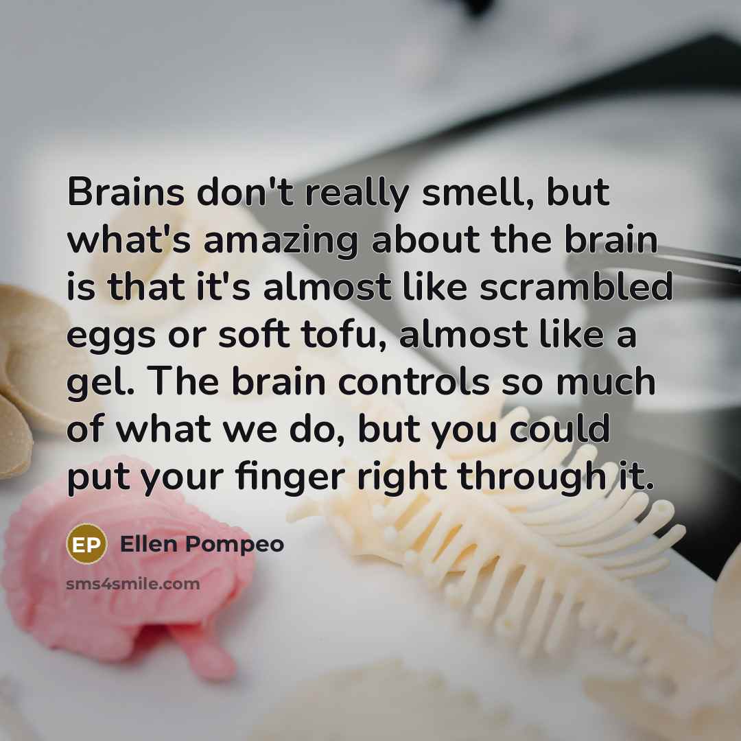 “Brains don't really smell, but what's amazing about the brain…” quote by Ellen Pompeo