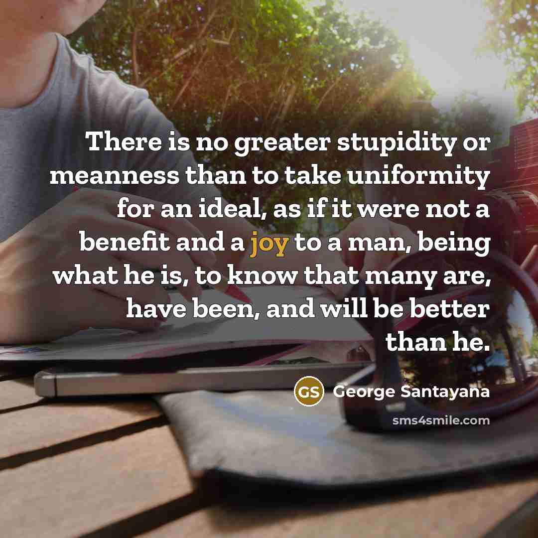 “There is no greater stupidity or meanness than to take…” quote by George Santayana
