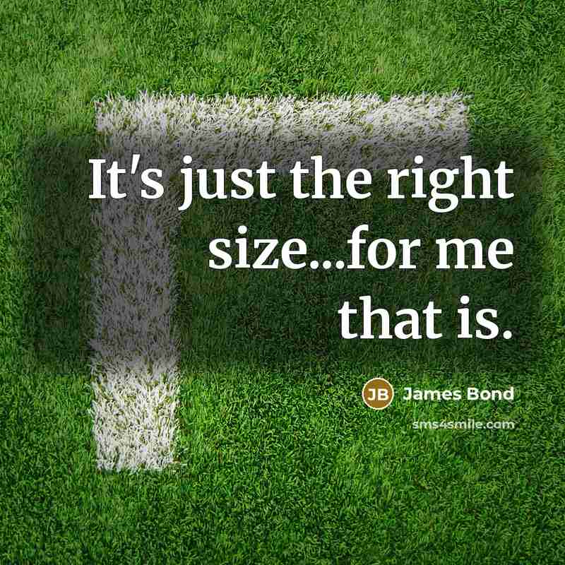 “It's just the right size...for me that is.…” quote by James Bond