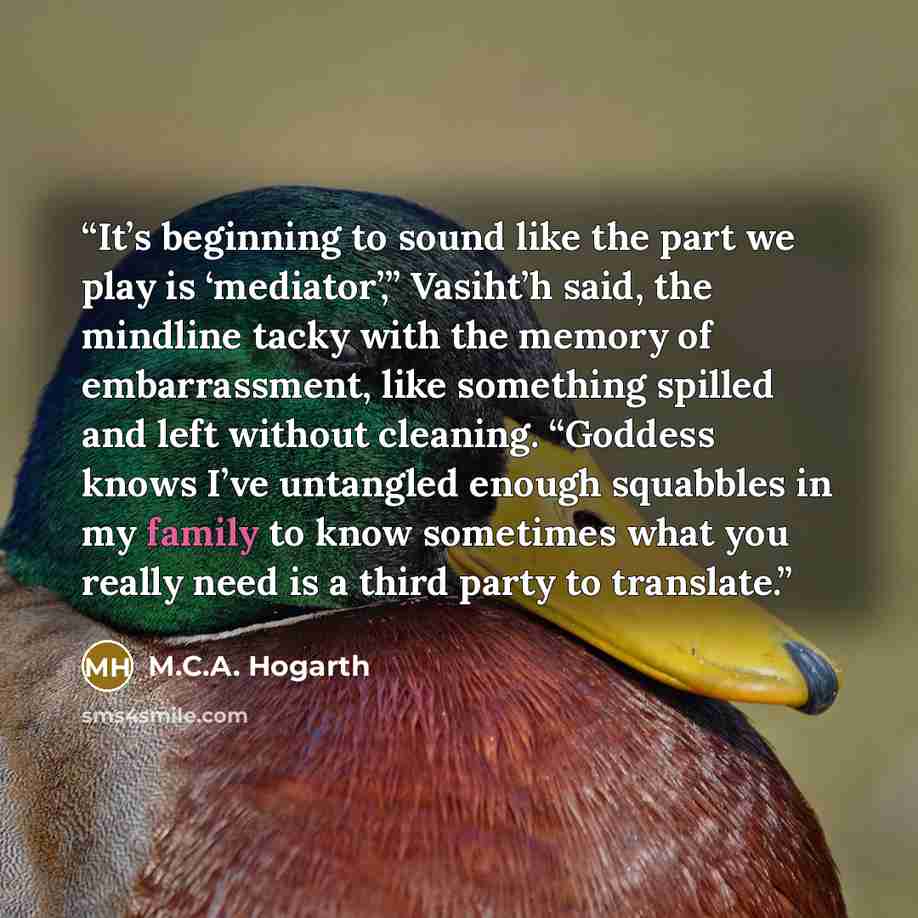 “It’s beginning to sound like the part we play is ‘mediator’,” Vasiht’h said, the mindline tacky with the memory of embarrassment, like something spilled and left without cleaning. “Goddess knows I’ve untangled enough squabbles in my family to know sometimes what you really need is a third party to…” quote by M.C.A. Hogarth