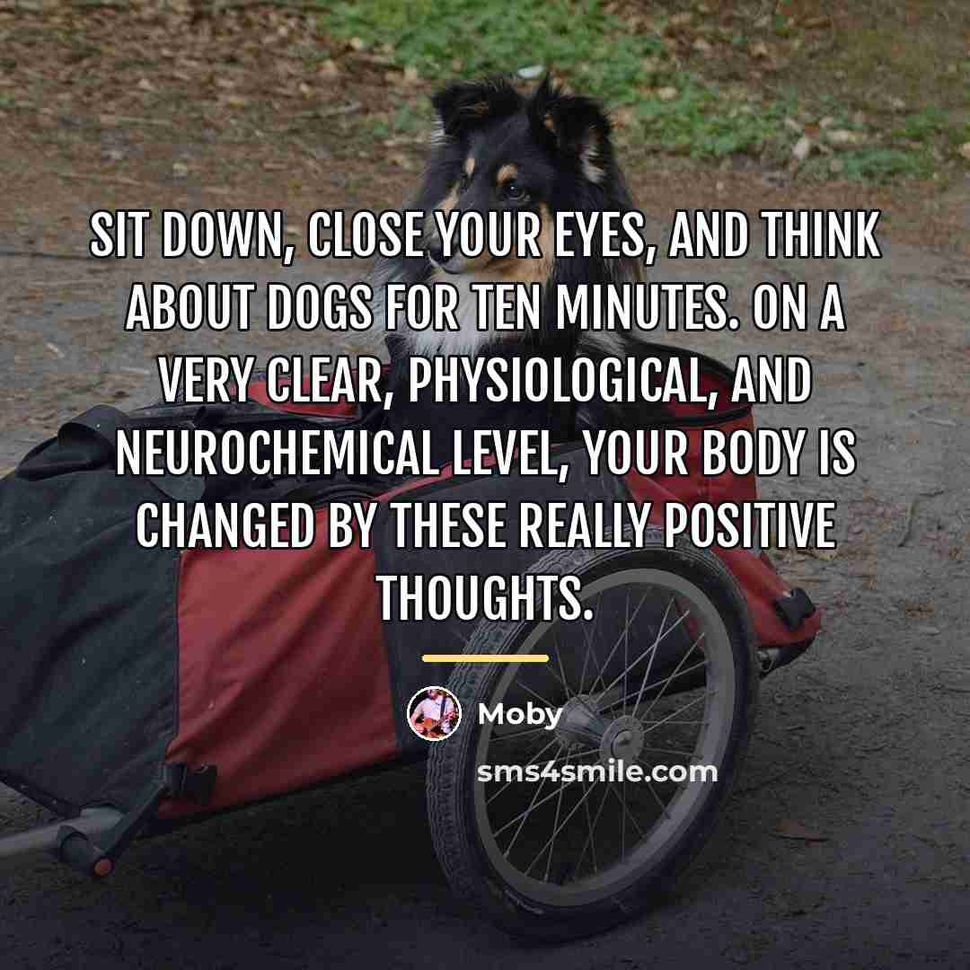 “Sit down, close your eyes, and think about dogs for…” quote by Moby