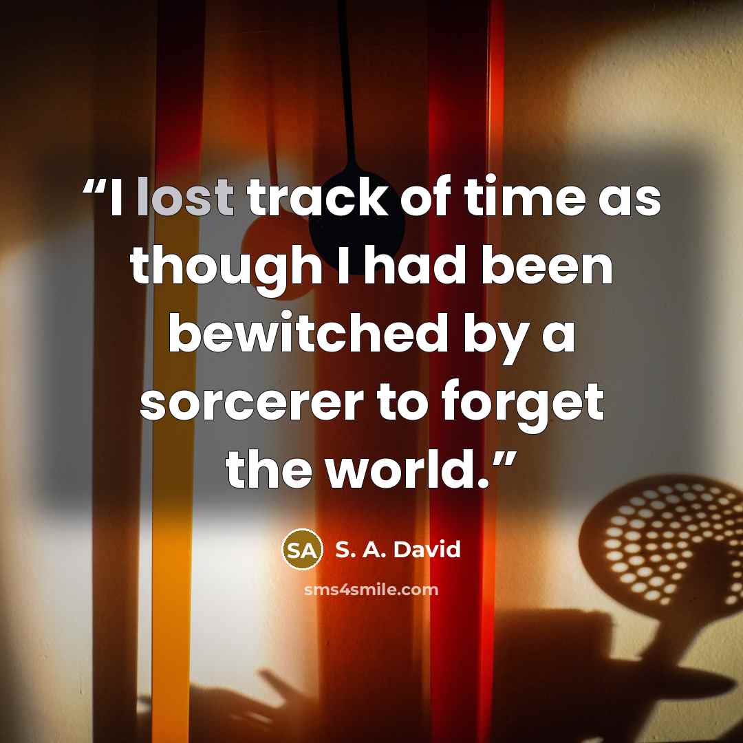 “I lost track of time as though I had been bewitched by a sorcerer to forget the world.” quote by S. A. David