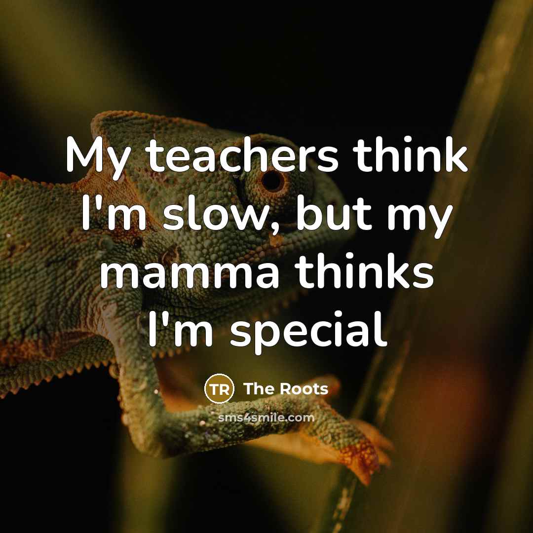 “My teachers think I'm slow, but my mamma thinks I'm special” quote by The Roots