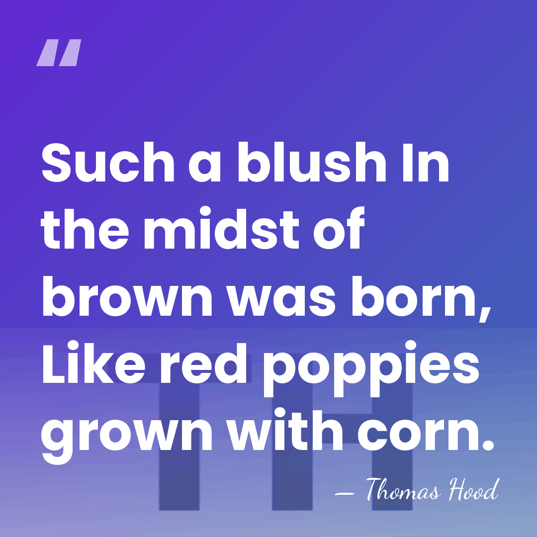 Such a blush In the midst of brown was born, Like red&hellip; - Thomas Hood
