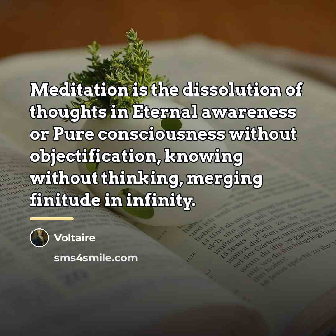 “Meditation is the dissolution of thoughts in Eternal awareness or…” quote by Voltaire