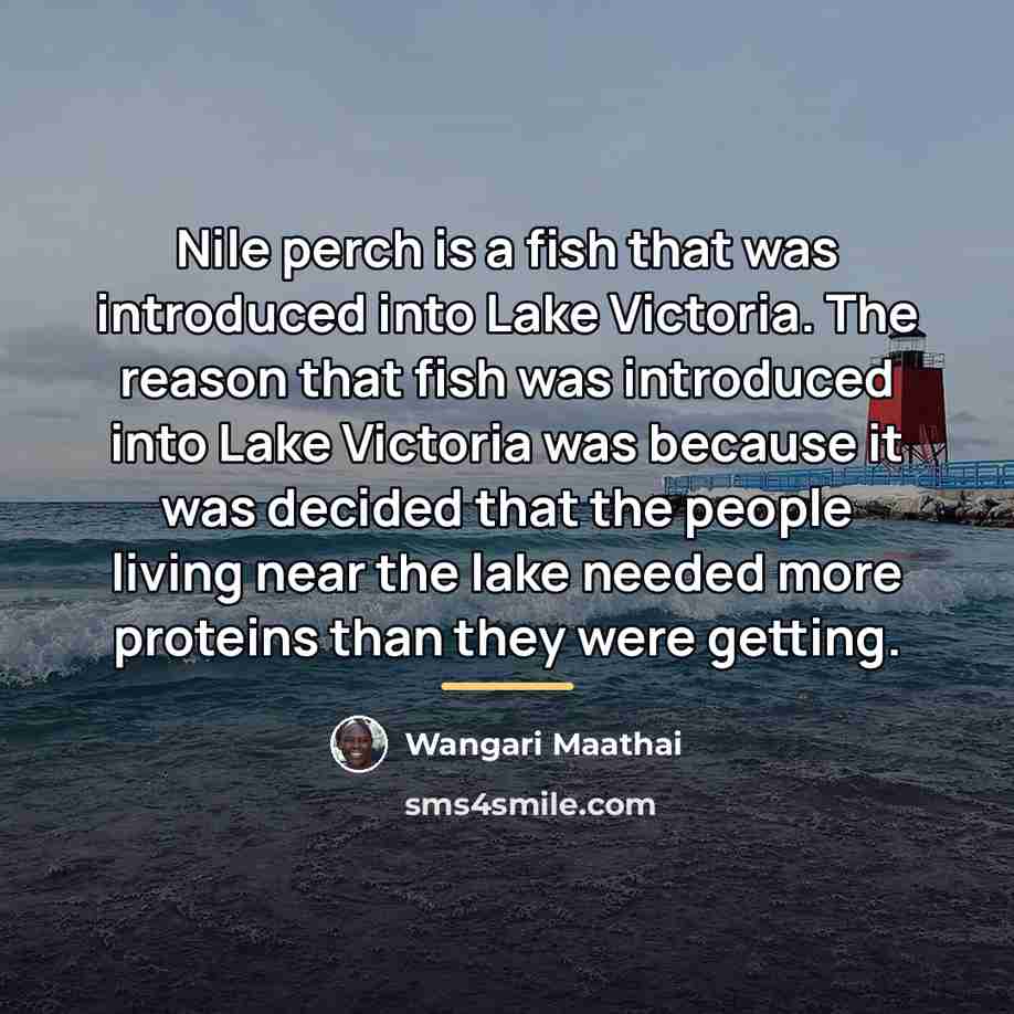“Nile perch is a fish that was introduced into Lake…” quote by Wangari Maathai