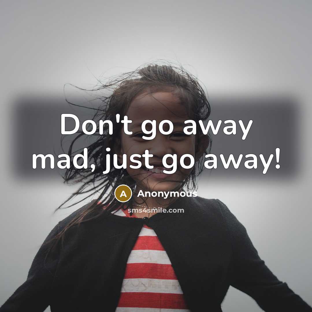 “Don't go away mad, just go away!” quote by Anonymous