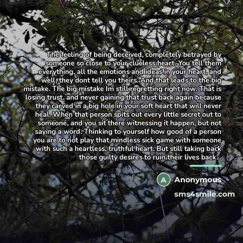 “The feeling of being deceived, completely betrayed by someone so…” quote by Anonymous