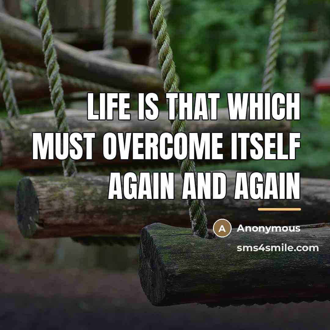 “Life is that which must overcome itself again and again…” quote by Anonymous
