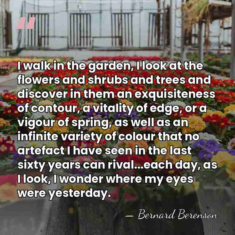 I walk in the garden, I look at the flowers and shrubs&hellip; - Bernard Berenson