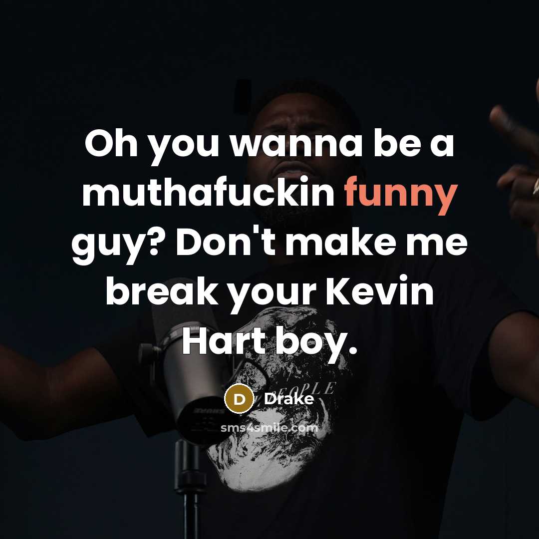 “Oh you wanna be a muthafuckin funny guy? Don't make me break your Kevin Hart boy.” quote by Drake