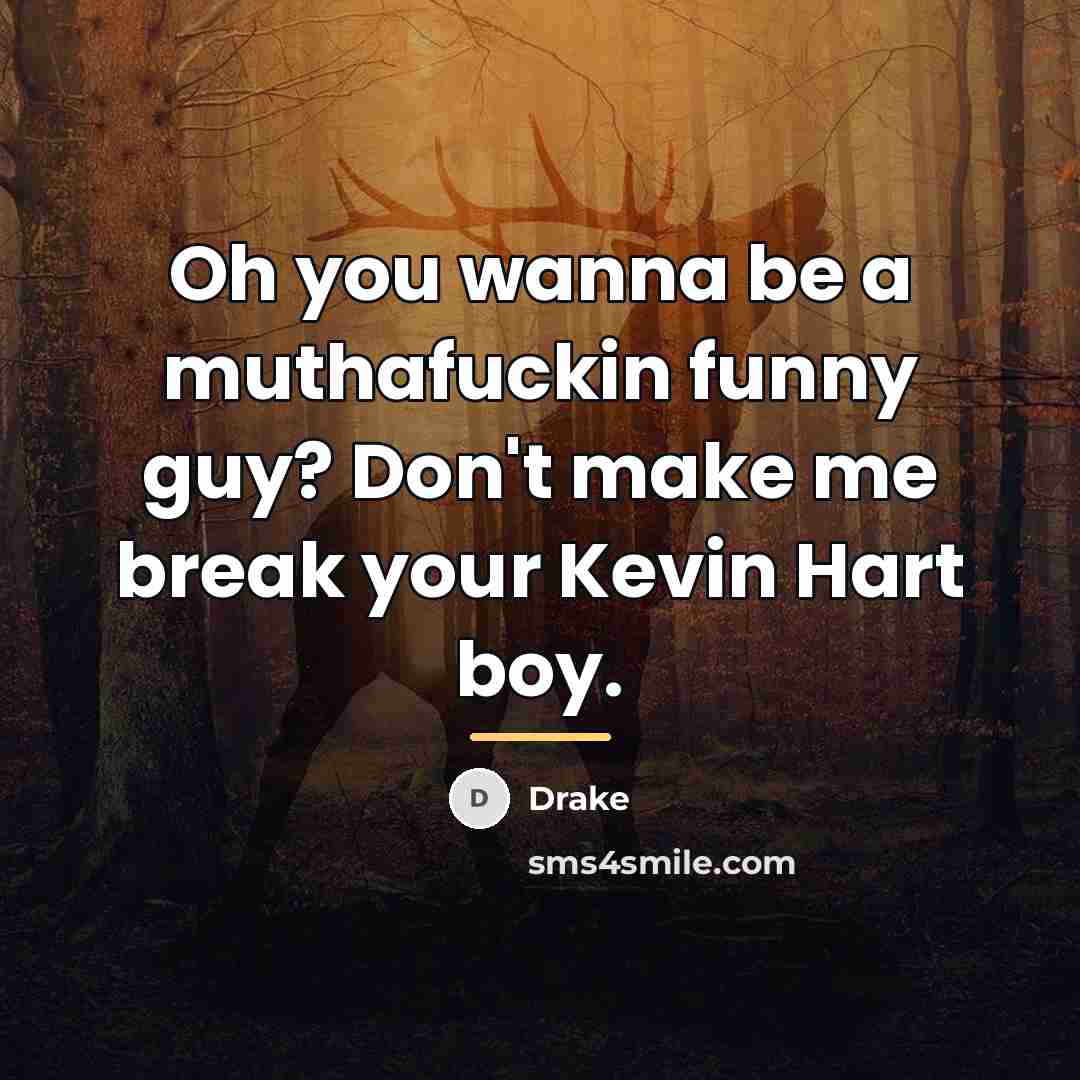 “Oh you wanna be a muthafuckin funny guy? Don't make…” quote by Drake