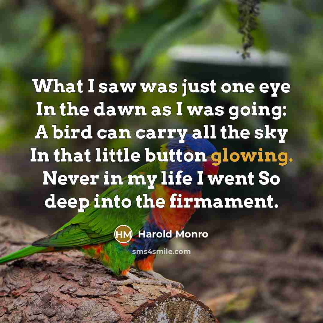 “What I saw was just one eye In the dawn…” quote by Harold Monro