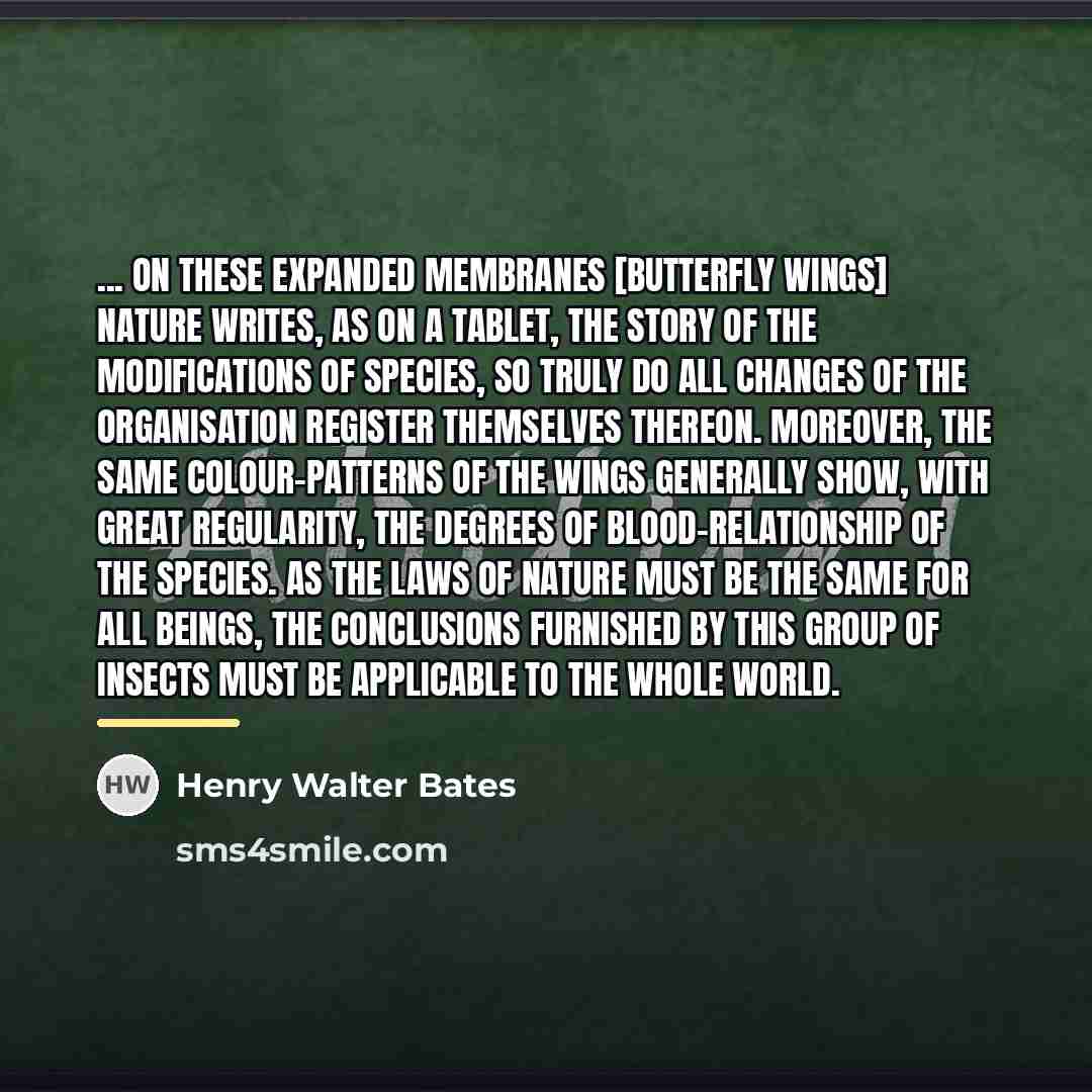 “... on these expanded membranes [butterfly wings] Nature writes, as…” quote by Henry Walter Bates