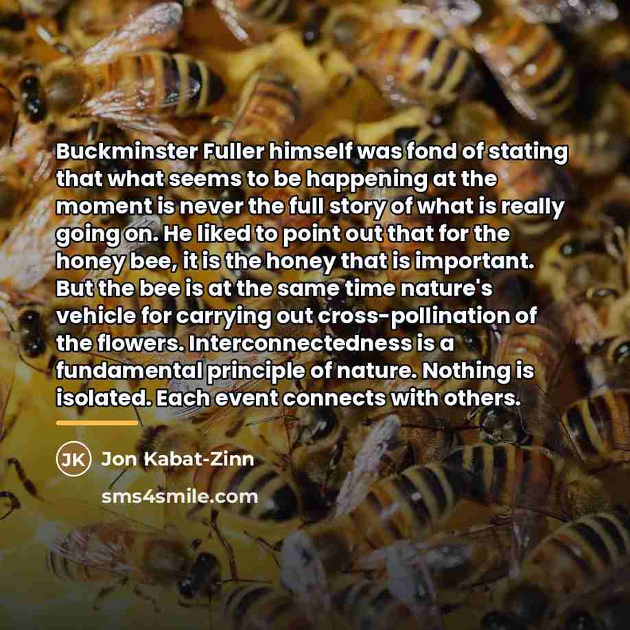 “Buckminster Fuller himself was fond of stating that what seems…” quote by Jon Kabat-Zinn
