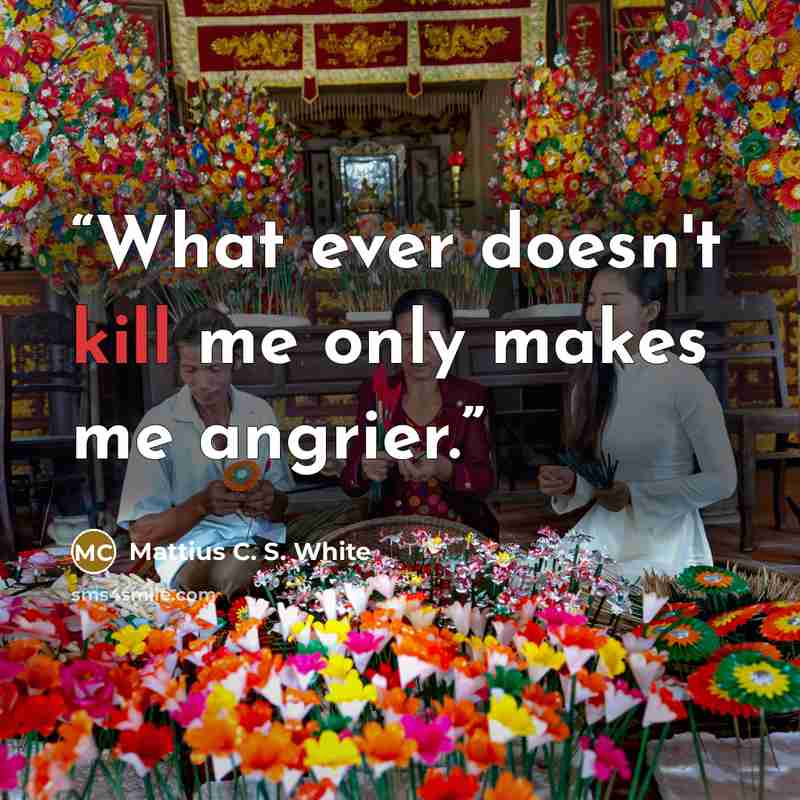 “What ever doesn't kill me only makes me angrier.” quote by Mattius C. S. White