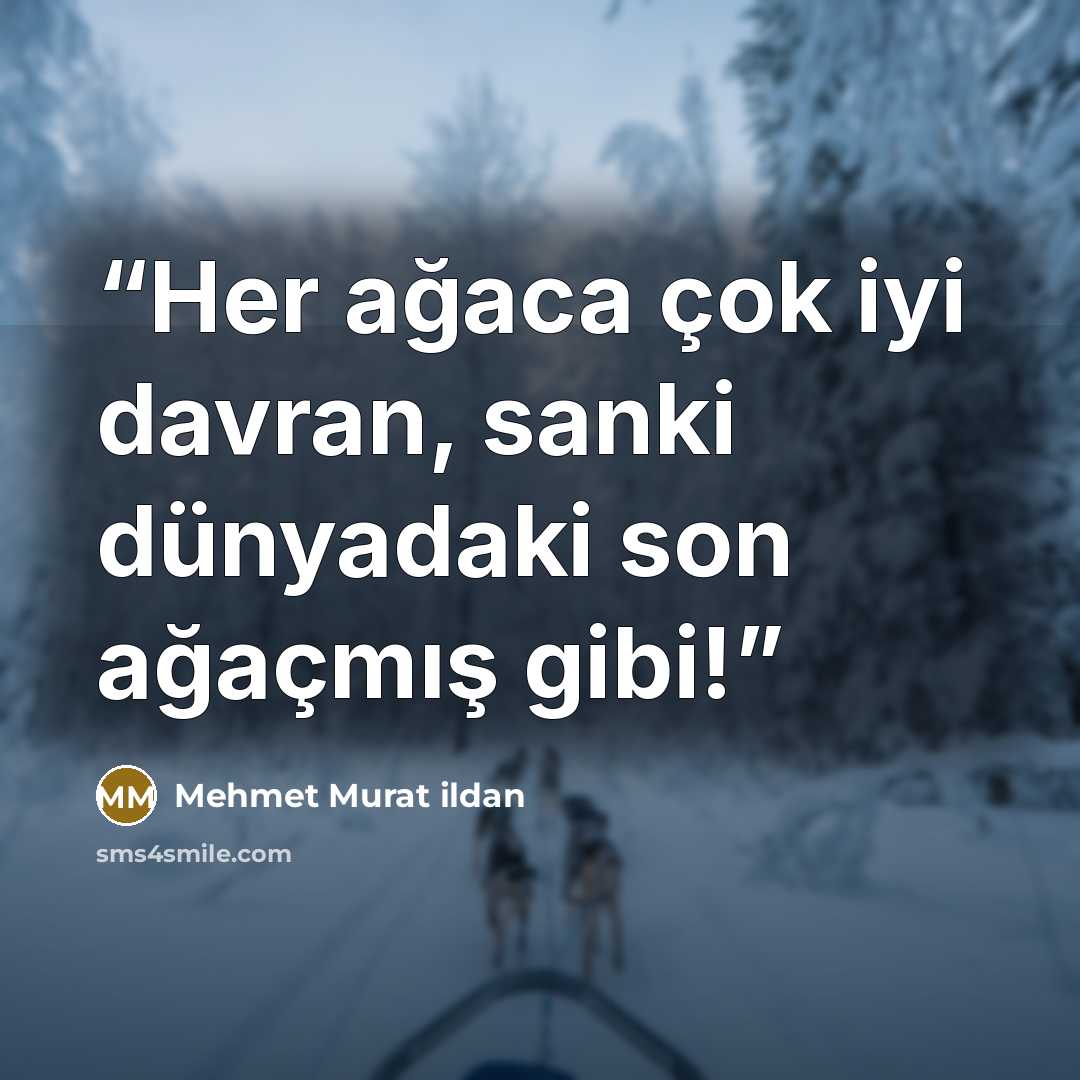 “Her ağaca çok iyi davran, sanki dünyadaki son ağaçmış gibi!” quote by Mehmet Murat ildan