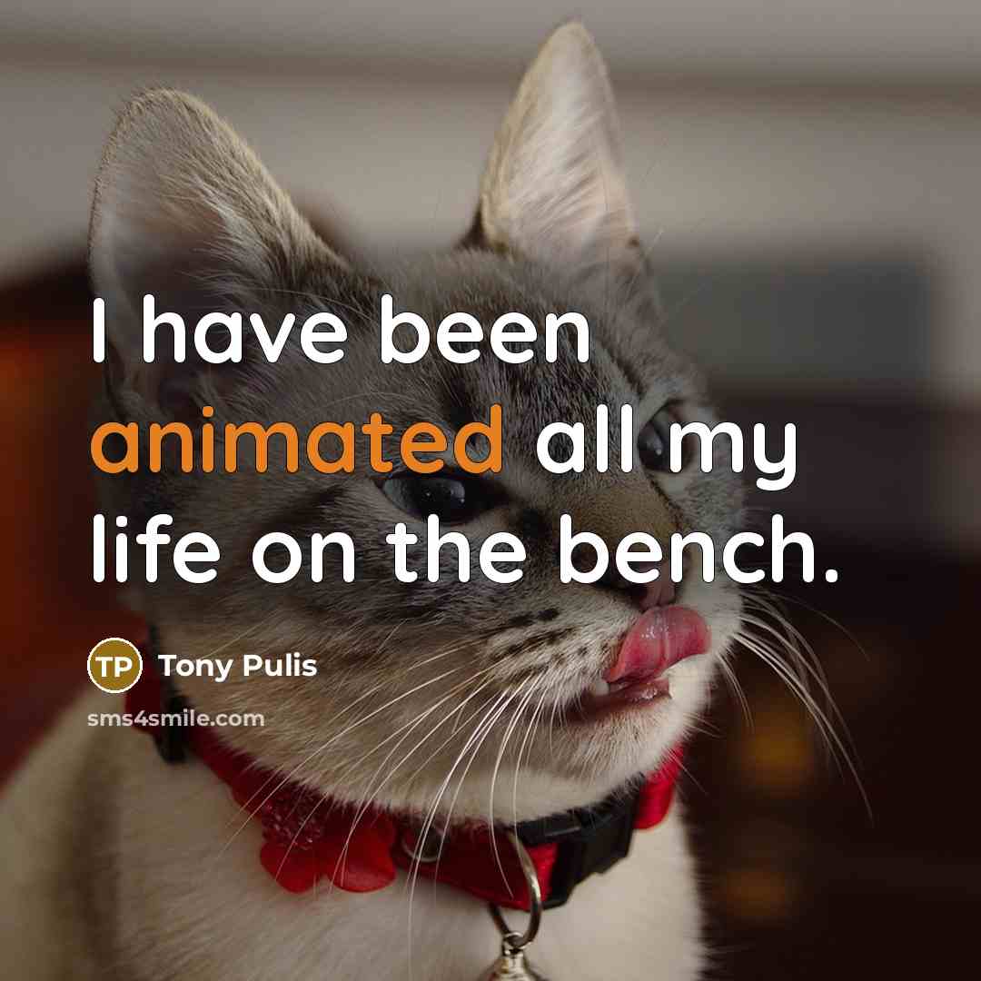 “I have been animated all my life on the bench.…” quote by Tony Pulis