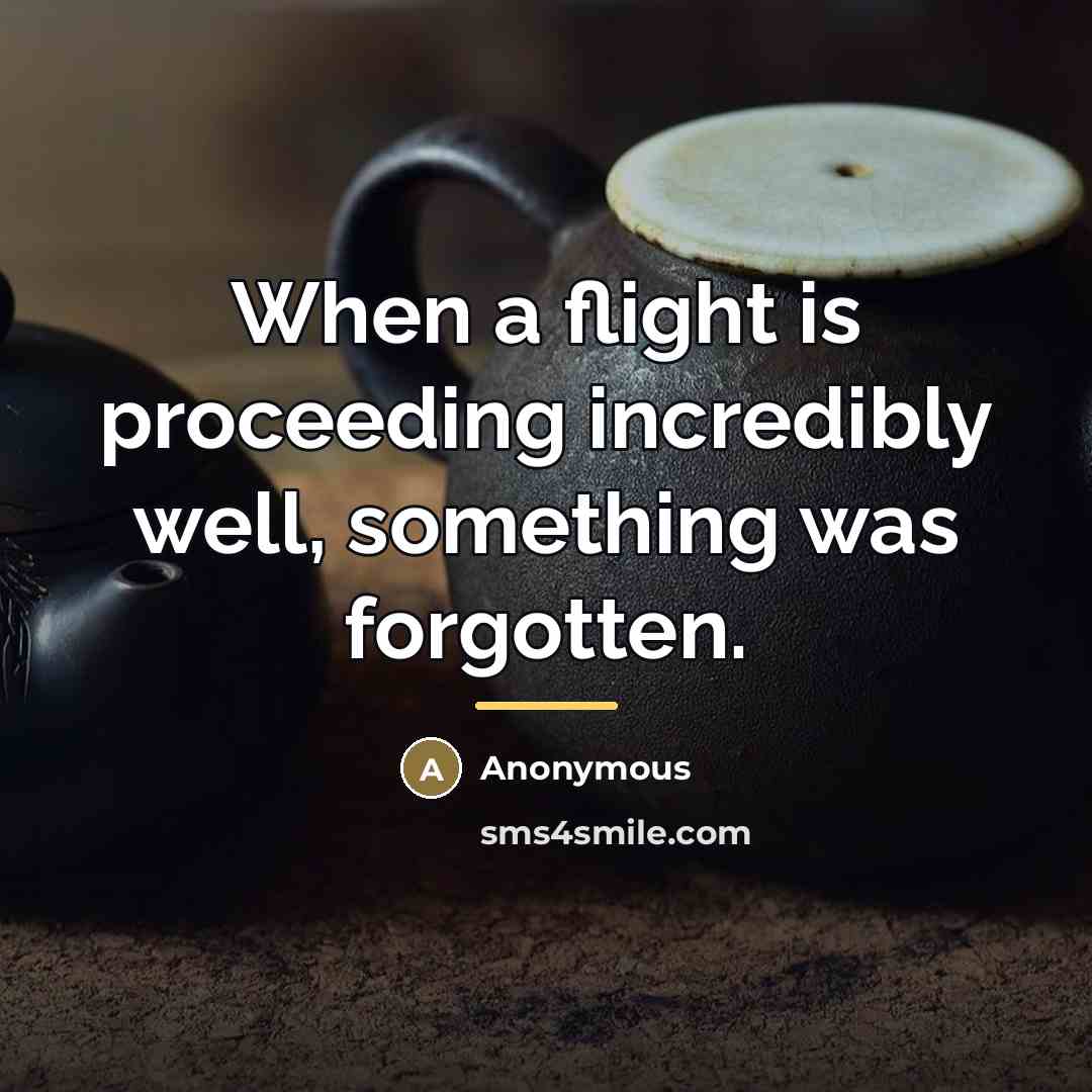 “When a flight is proceeding incredibly well, something was forgotten.…” quote by Robert Livingston