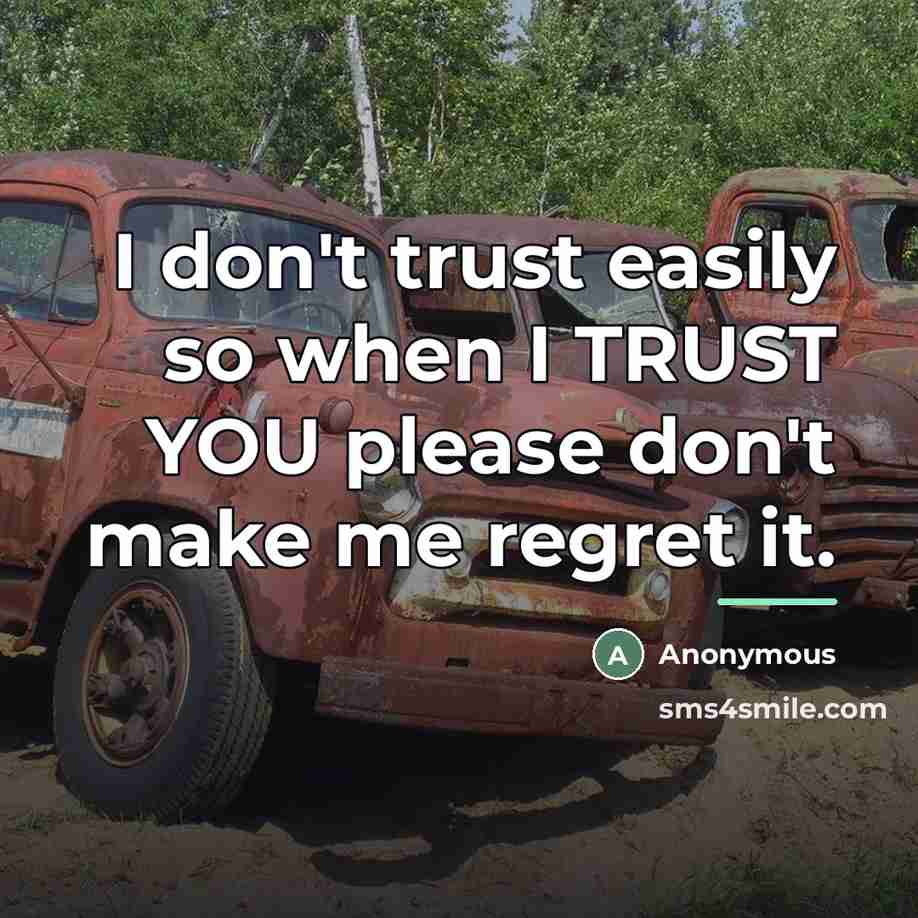 “I don't trust easily so when I TRUST YOU please…” quote by Anonymous