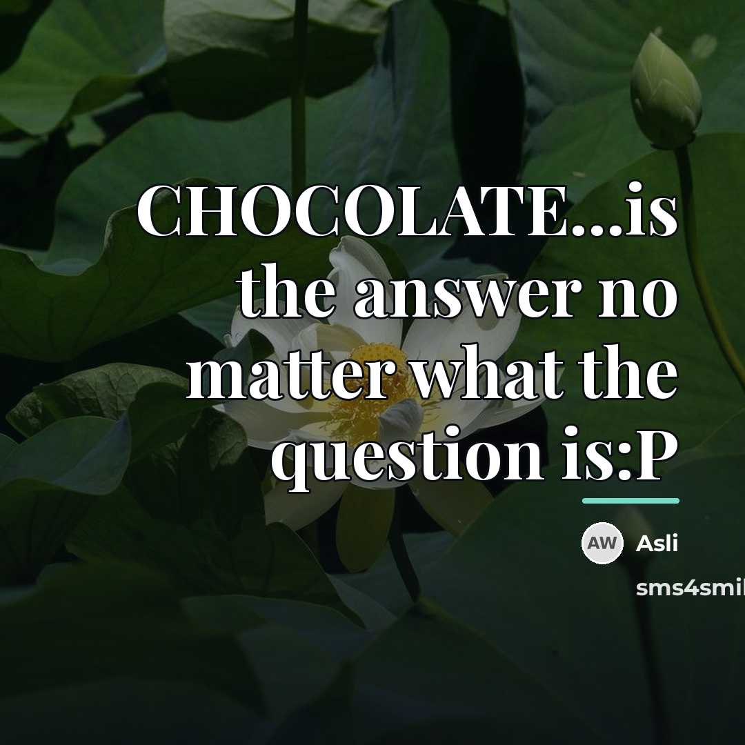 “CHOCOLATE...is the answer no matter what the question is:P…” quote by Asli