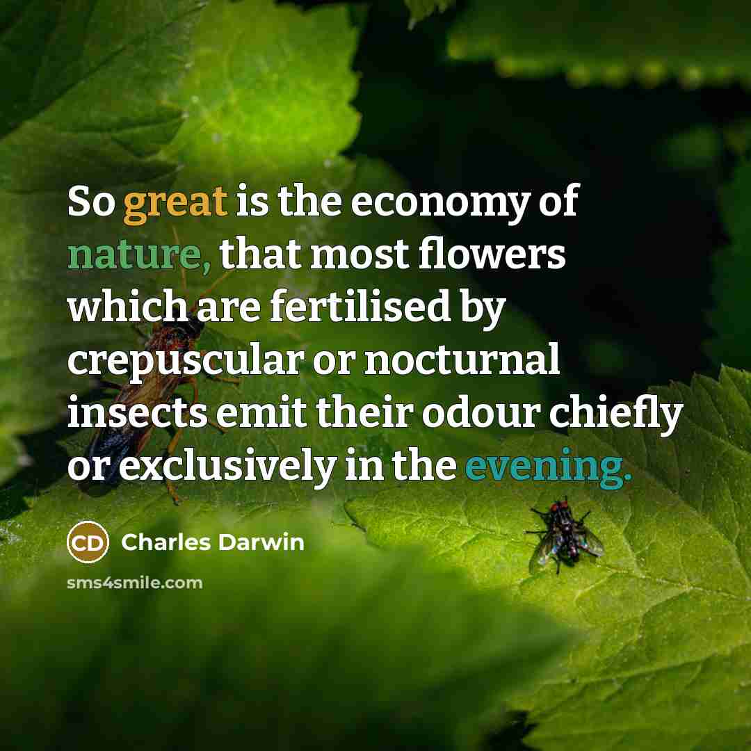 “So great is the economy of nature, that most flowers…” quote by Charles Darwin