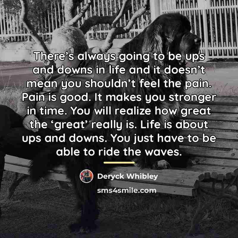 “There’s always going to be ups and downs in life…” quote by Deryck Whibley