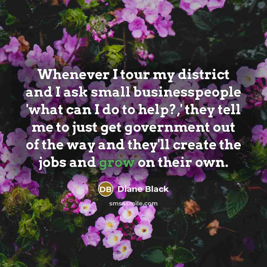 “Whenever I tour my district and I ask small businesspeople…” quote by Diane Black