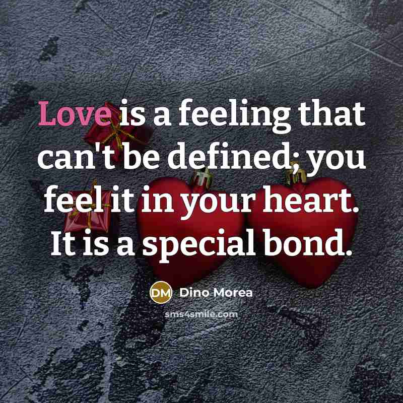 “Love is a feeling that can't be defined; you feel…” quote by Dino Morea