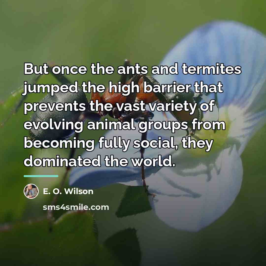 “But once the ants and termites jumped the high barrier…” quote by E. O. Wilson