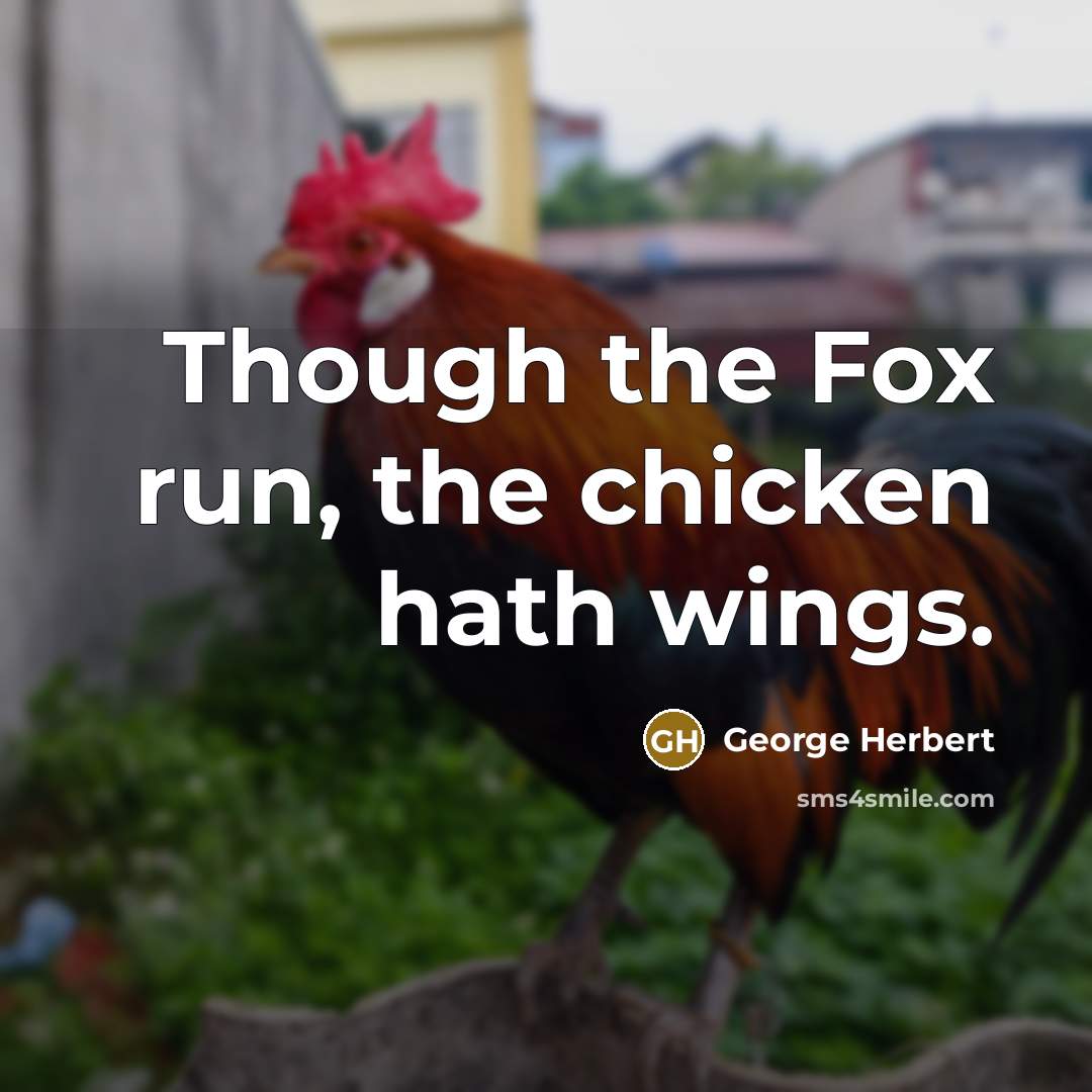 “Though the Fox run, the chicken hath wings.” quote by George Herbert