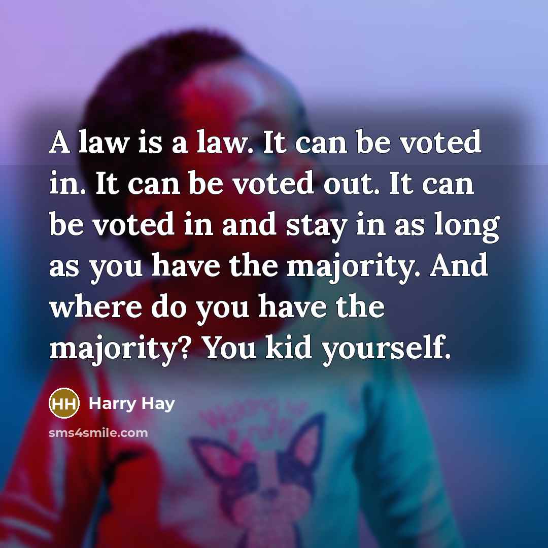 “A law is a law. It can be voted in.…” quote by Harry Hay