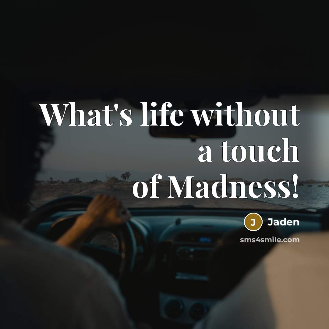 “What's life without a touch of Madness!…” quote by Jaden