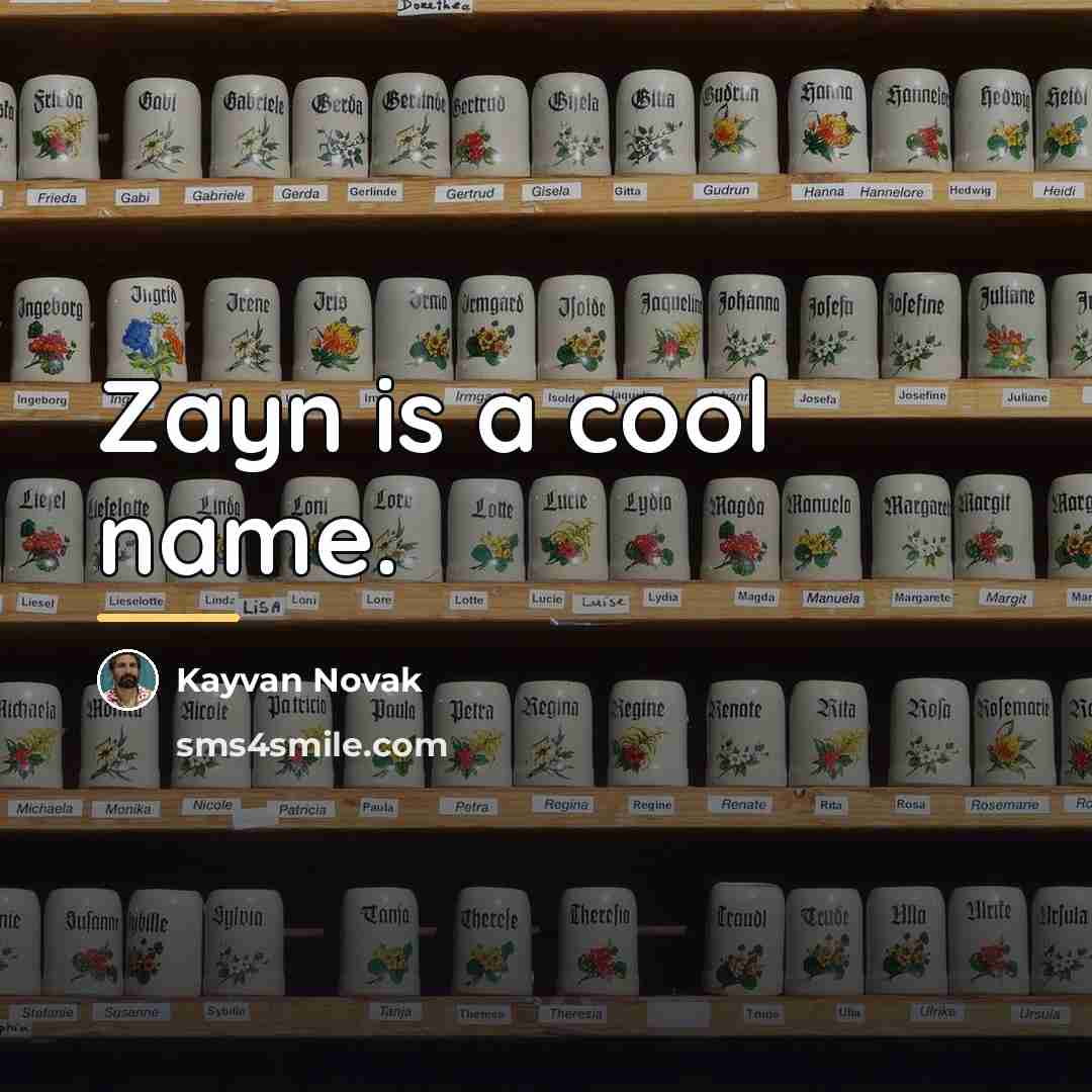 “Zayn is a cool name.…” quote by Kayvan Novak