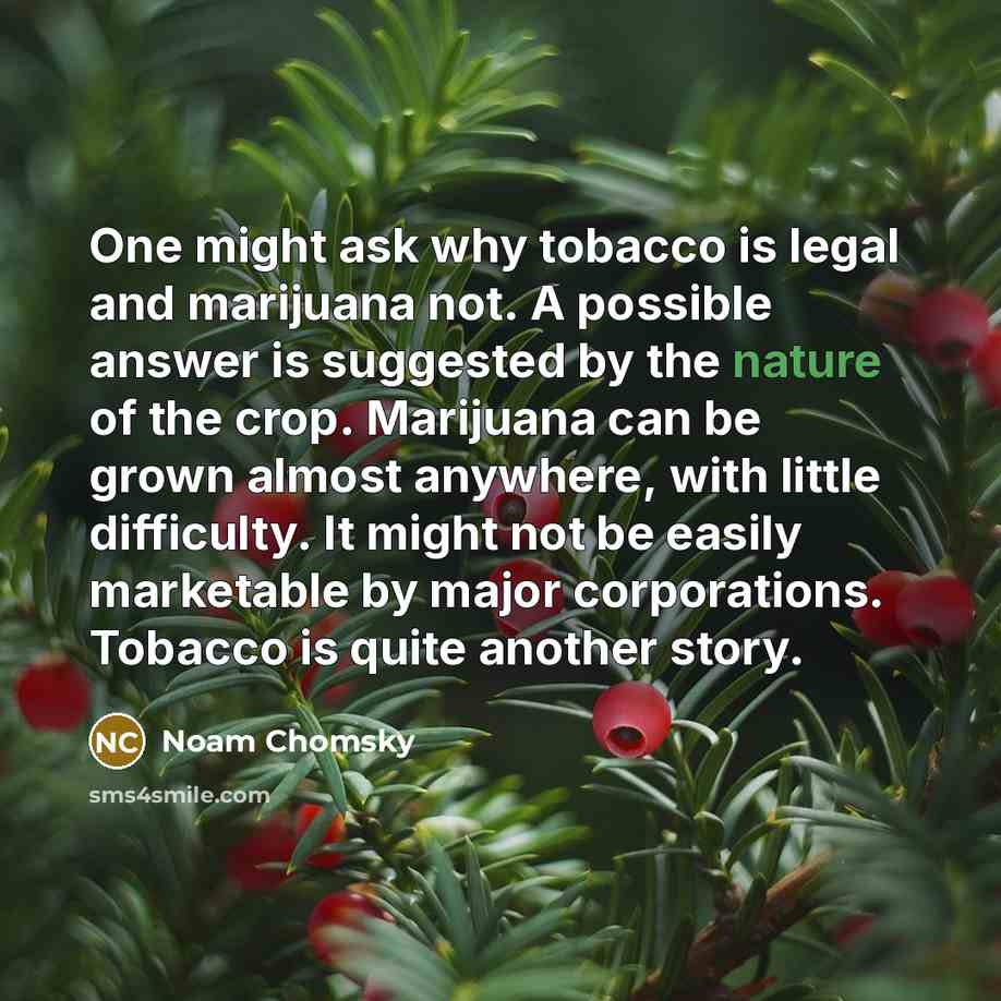 “One might ask why tobacco is legal and marijuana not.…” quote by Noam Chomsky