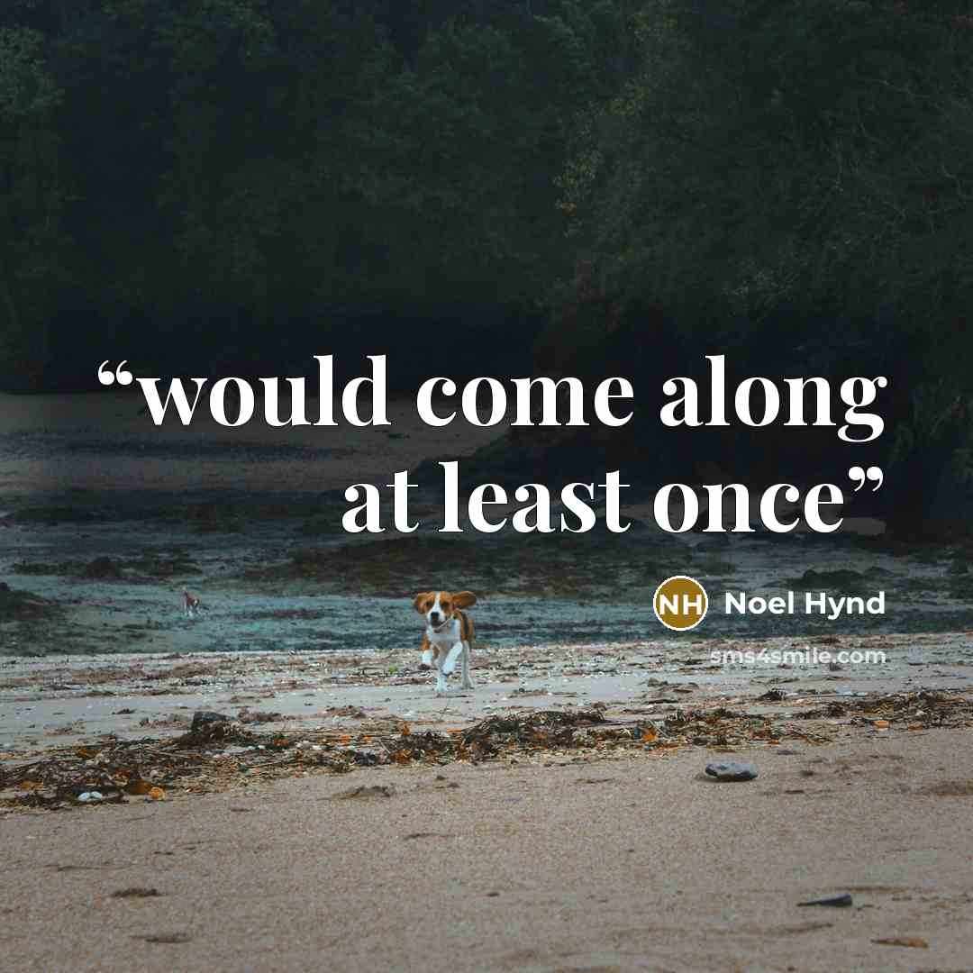 “would come along at least once” quote by Noel Hynd