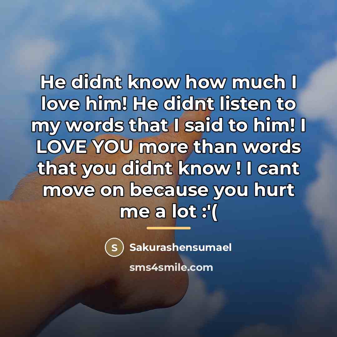 “He didnt know how much I love him! He didnt…” quote by Sakurashensumael