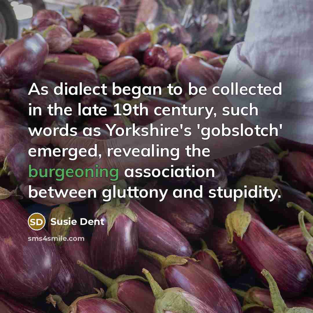 “As dialect began to be collected in the late 19th…” quote by Susie Dent