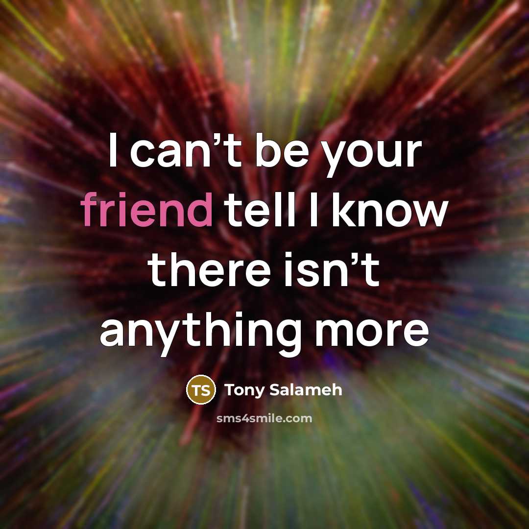 “I can't be your friend tell I know there isn't…” quote by Tony Salameh