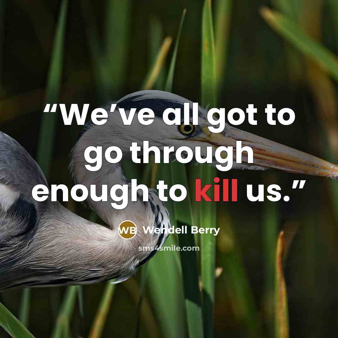 “We’ve all got to go through enough to kill us.” quote by Wendell Berry