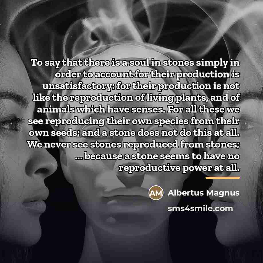 “To say that there is a soul in stones simply…” quote by Albertus Magnus