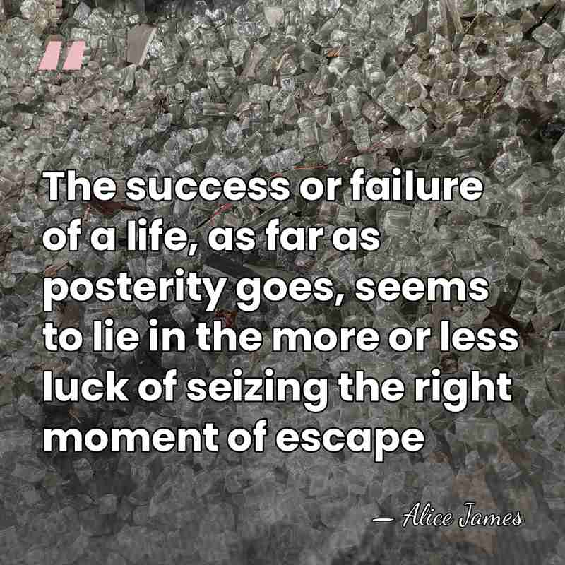 The success or failure of a life, as far as posterity goes,&hellip; - Alice James