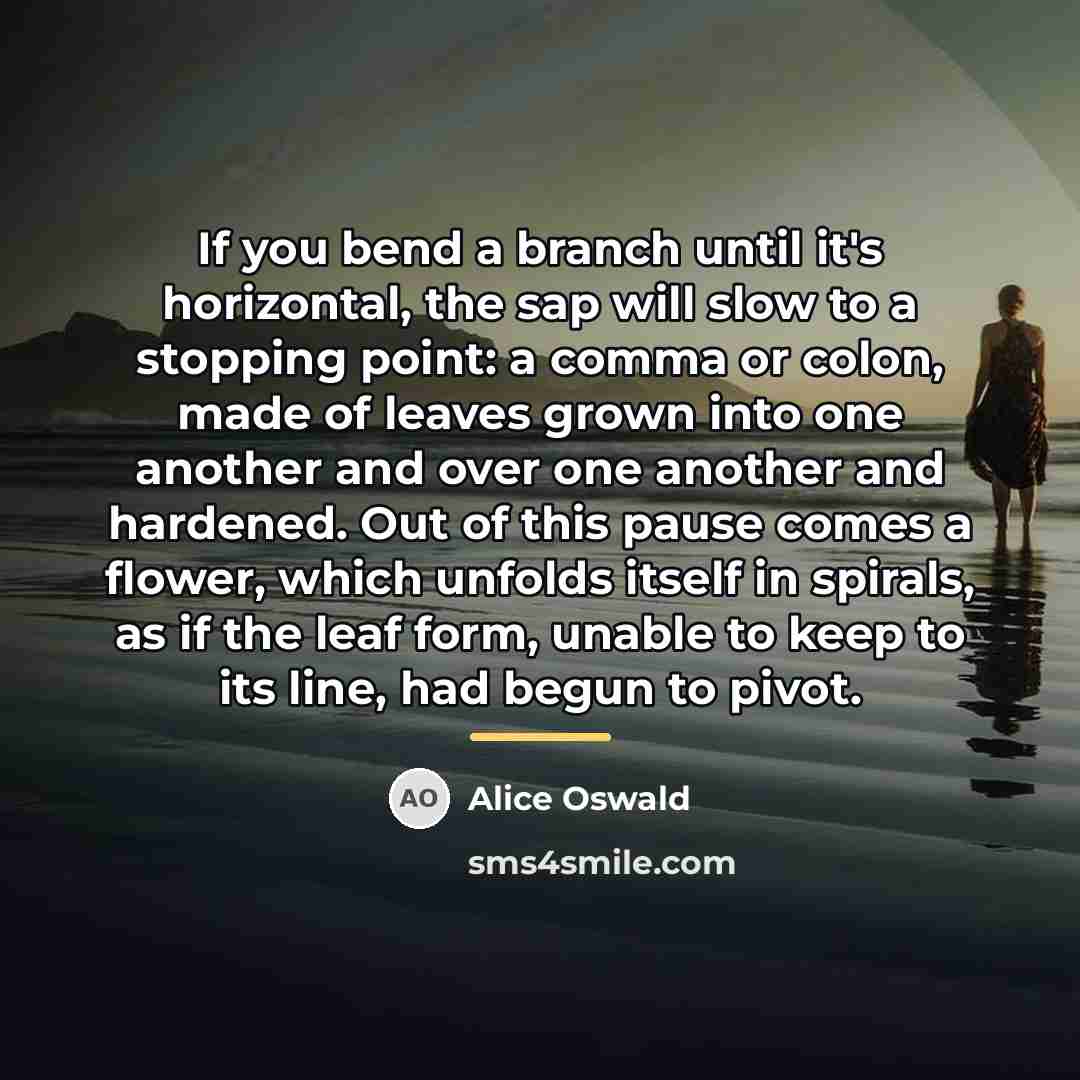 “If you bend a branch until it's horizontal, the sap…” quote by Alice Oswald