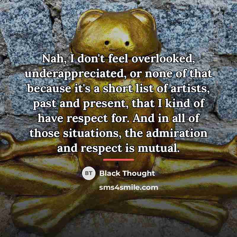 “Nah, I don't feel overlooked, underappreciated, or none of that…” quote by Black Thought